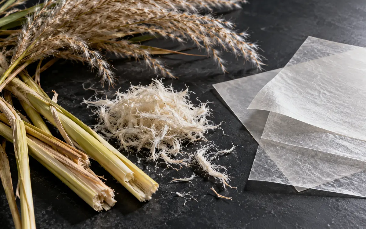 Plant fibres beside membrane research samples